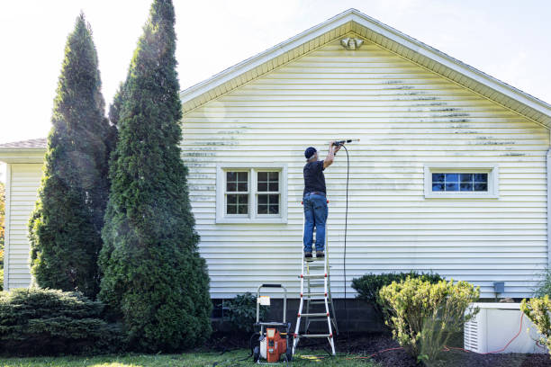 Professional Pressure Washing in Wintersville, OH